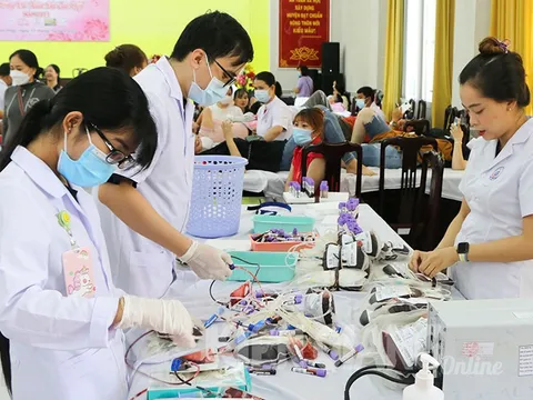 Kiên Giang: Tiếp nhận 440 đơn vị máu tại lễ hội xuân hồng