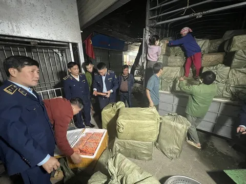 Yên Bái: Phát hiện hơn 7 tấn tràng trứng đông lạnh đã chuyển màu thâm đen