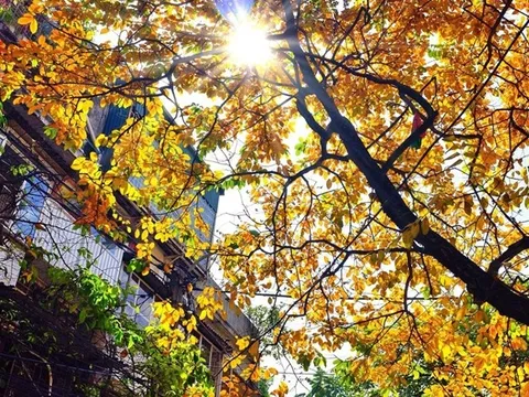 Dự báo thời tiết ngày 20/12: Nền nhiệt tại miền Bắc tăng nhẹ, ban ngày có nắng