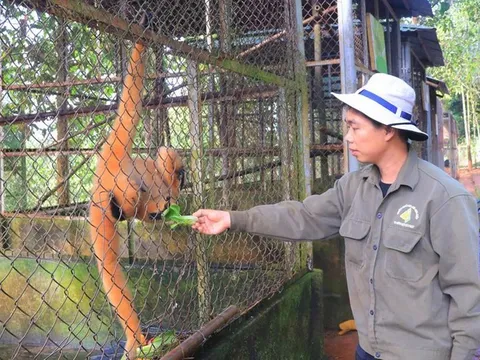 Chàng trai rong ruổi xuyên Việt để làm tình nguyện viên