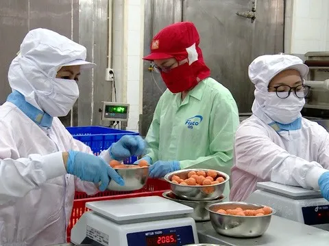 Thưởng Tết 2023: Nơi tăng cao, nơi giảm sâu