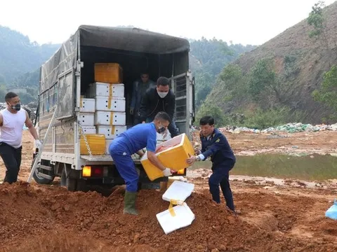 Yến Bái: Tiêu hủy hơn 7 tấn tràng trứng gà non đông lạnh trị giá hơn 1 tỷ đồng