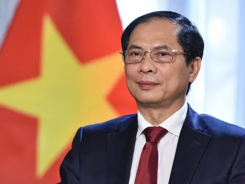 Ngoại giao Việt Nam năm 2022: Phát huy mạnh mẽ bản sắc “cây tre Việt Nam”   