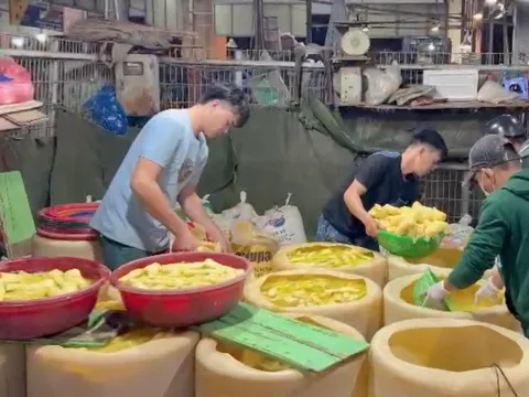 TP Hồ Chí Minh: Phát hiện gần 2 tấn măng, ngó sen ngâm hoá chất để tẩy trắng