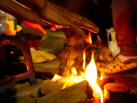 Chủ động ứng phó để giảm thiểu thiệt hại do rét đậm rét hại trong dịp Tết Nguyên đán