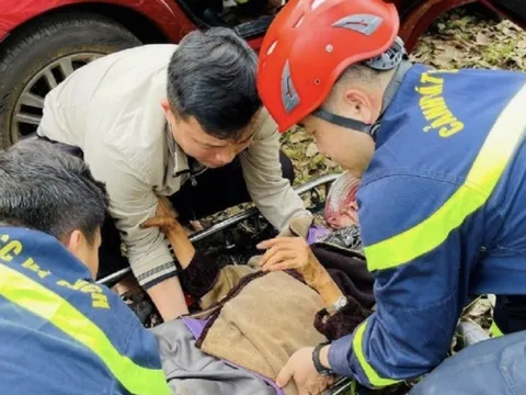 Đắk Lắk: Cứu thành công cụ bà 80 tuổi rơi xuống vực sâu 15 m