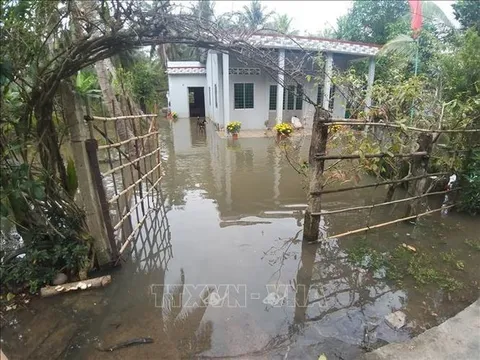 Bến Tre: Triều cương bất ngờ dâng cao, nhiều nơi chìm trong biển nước