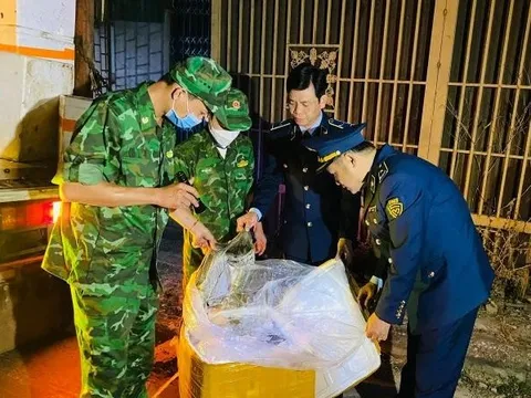 Quảng Trị: Phát hiện xe tải chở 1,7 tấn nội tạng heo hôi thối