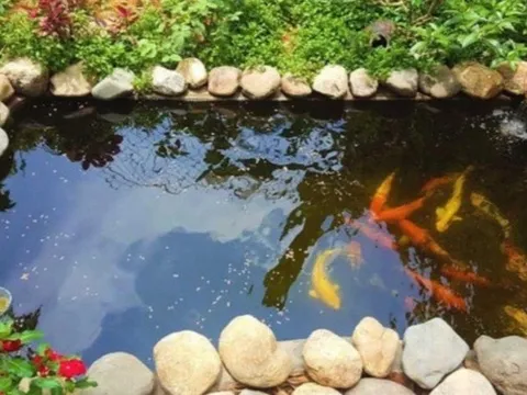 Quảng Ninh: Thương tâm hai cháu bé bị đuối nước trong hồ cá Koi nhà hàng xóm