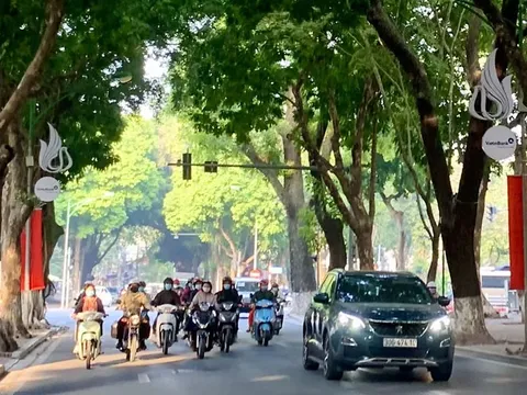 Dự báo thời tiết ngày 12/2: Miền Bắc tăng nhiệt trước khi đón không khí lạnh mạnh