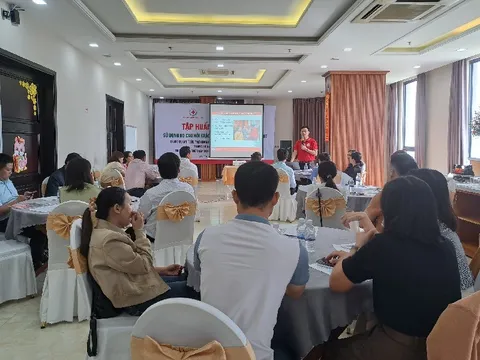 Hội Chữ thập đỏ Đà Nẵng: Tập huấn sử dụng bộ câu hỏi khảo sát hộ hưởng lợi sau cấp phát cho cán bộ, tình nguyện viên