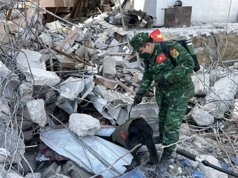 Việt Nam hỗ trợ khẩn cấp Thổ Nhĩ Kỳ và Syria 200.000 USD khắc phục hậu quả động đất