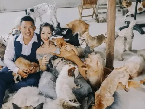 Đôi trẻ hoãn cưới 6 năm để cưu mang hơn 450 con chó, mèo