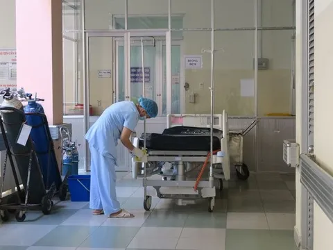 TP Hồ Chí Minh: Tích cực giám sát, ngăn chặn nguy cơ xâm nhập cúm gia cầm H5N1