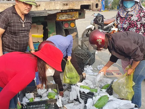Xúc động người dân Hà Tĩnh "giải cứu" xe chở 30 tấn xoài bị lật