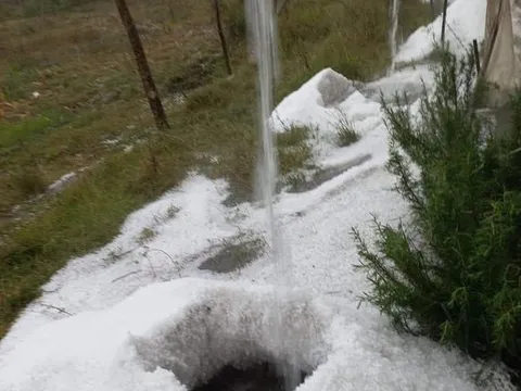 Lâm Đồng: Mưa đá giữa mùa khô gây thiệt hại hoa màu