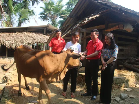 Hương Sơn – Hà Tĩnh: Hỗ trợ vay vốn phát triển sinh kế cho phụ nữ vùng biên