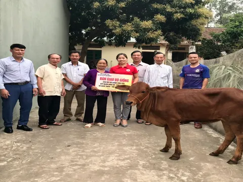 Hội Chữ thập đỏ Bắc Giang: Hỗ trợ sinh kế cho những hộ gia đình khó khăn trên địa bàn