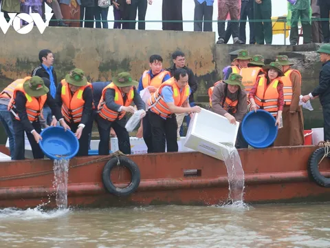 Khắp nơi thả hàng triệu con giống thủy sản về môi trường tự nhiên