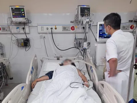 Hoà Bình: Kịp thời cứu sống bệnh nhân ngộ độc lá ngón