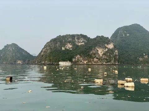 Quảng Ninh: Thu gom 7.000m3 phao xốp trên vịnh Hạ Long