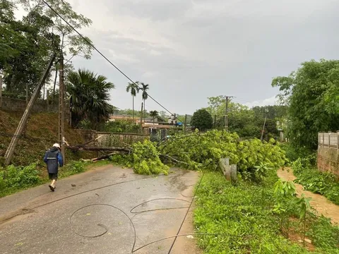 Phú Thọ: Mưa lớn làm 243 nhà bị tốc mái, 1.300 ha hoa màu bị thiệt hại