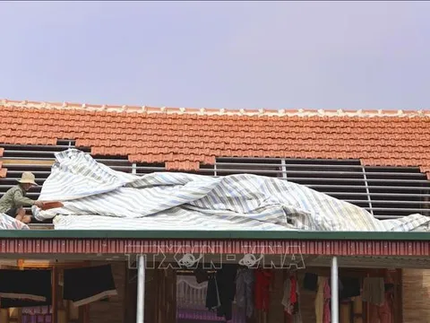 Điện Biên: Thiệt hại 7,5 tỷ đồng do ảnh hưởng của dông lốc