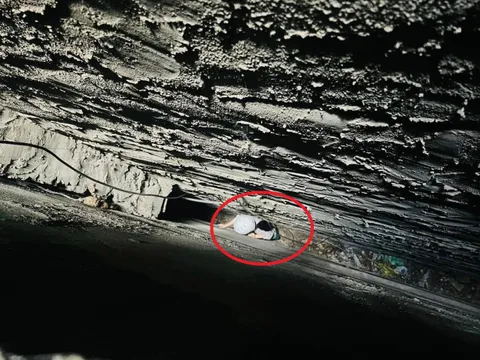 Cứu cô gái bị mắc kẹt trong khe hẹp giữa 2 nhà dân ở TP Hồ Chí Minh