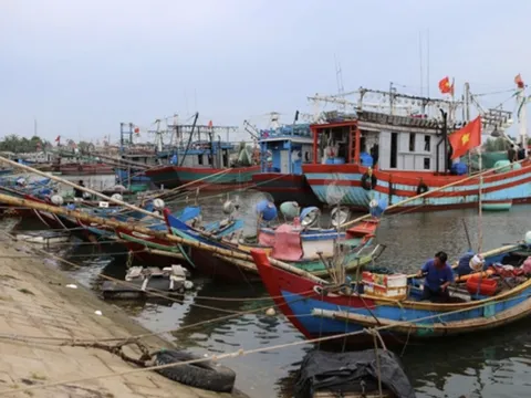 Ứng phó với áp thấp nhiệt đới có khả năng mạnh lên thành bão