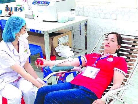 Chuyện về những “ngân hàng máu sống”