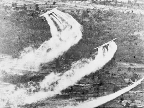 62 năm thảm họa da cam ở Việt Nam (10/8/1961 - 10/8/2021): Nỗi đau còn dai dẳng