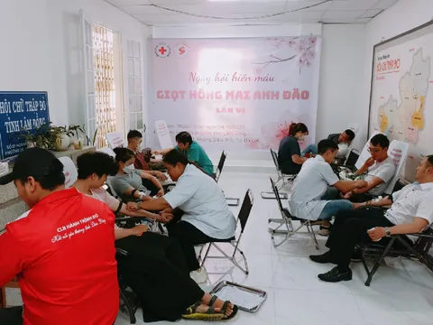 Lâm Đồng: Ngày hội hiến máu “Giọt hồng mai anh đào”  lần thứ VI