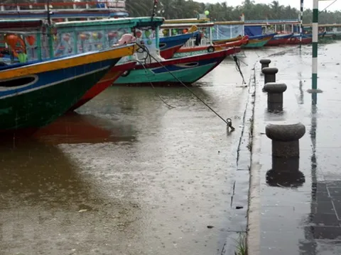 Chủ động ứng phó với vùng áp thấp có khả năng mạnh lên thành áp thấp nhiệt đới