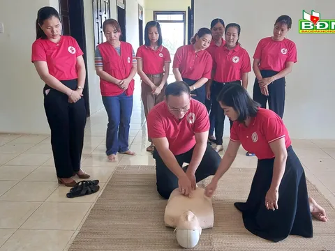60 cán bộ, hội viên Chữ thập đỏ Đắk Nông tập huấn sơ cấp cứu cộng đồng