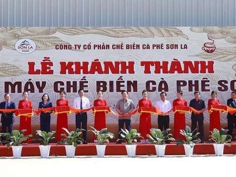 WinCommerce đồng hành cùng tỉnh Sơn La phát triển nguồn cung cà phê bền vững