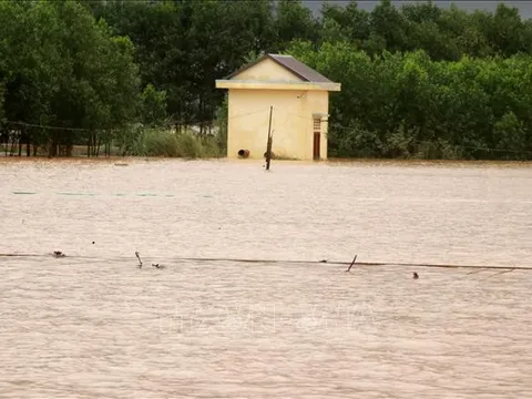 Nước lũ tại Quảng Trị dâng cao khiến 800 ngôi nhà bị ngập lụt