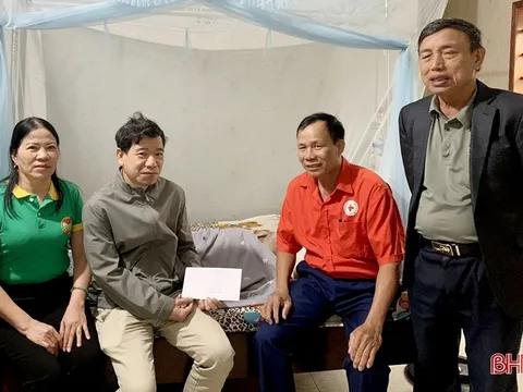 Nhiều hoạt động kỷ niệm 77 năm thành lập Hội Chữ thập đỏ Việt Nam