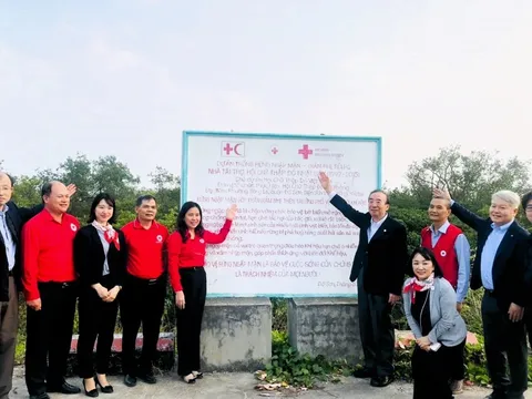 Đoàn đại biểu cấp cao Hội Chữ thập đỏ Nhật Bản thăm rừng ngập mặn tại thành phố Hải Phòng