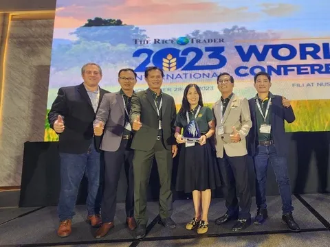 6 loại gạo giúp Việt Nam đạt giải “Gạo ngon nhất thế giới 2023”