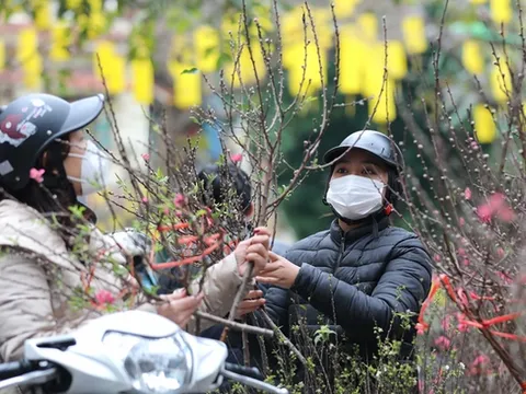 Tết Dương lịch 2024 được nghỉ 3 ngày liên tiếp