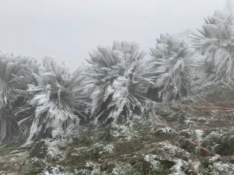Các tỉnh, thành phố ở Bắc Bộ chủ động ứng phó với rét đậm, rét hại diện rộng