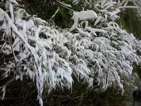 Miền Bắc rét đậm, rét hại, có nơi dưới 3 độ C, khả năng xuất hiện băng giá