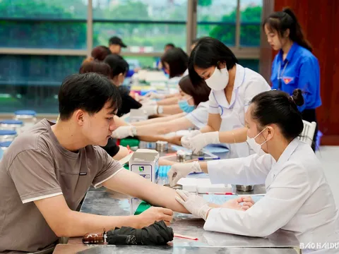 Hải Dương triển khai chiến dịch hiến máu tình nguyện dịp Tết