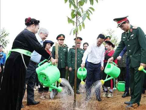 Chủ tịch nước dự Lễ phát động Tết trồng cây 'Đời đời nhớ ơn Bác Hồ'