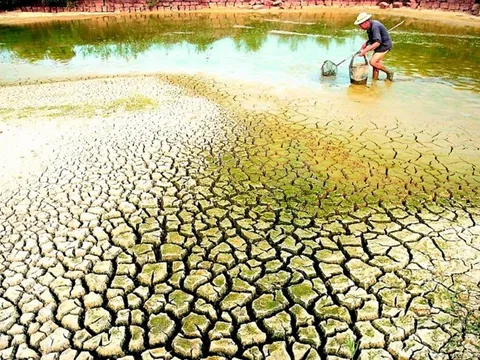 Tập trung ứng phó đợt xâm nhập mặn cao điểm tại Đồng bằng sông Cửu Long