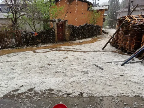 Mưa đá, dông lốc gây thiệt hại cho hàng trăm hộ dân ở Phú Thọ