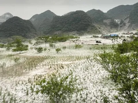 Không chủ quan trong phòng ngừa, ứng phó khắc phục hậu quả thiên tai