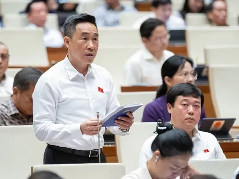 Cần sớm sửa Luật Hoạt động Chữ thập đỏ để xử lý nghiêm những hành vi vụ lợi