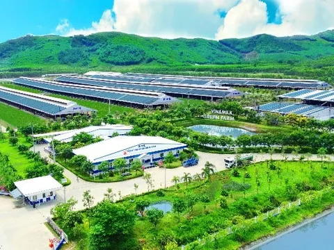 Nông dân hưởng lợi gì khi doanh nghiệp làm “Net Zero”