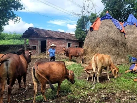 Tăng cường sự lãnh đạo của Đảng đối với tín dụng chính sách xã hội huyện Bố Trạch